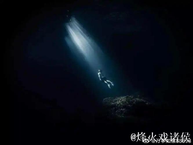 安静中博弈 黑暗中“追光” 安静中博弈 黑暗中“追光”